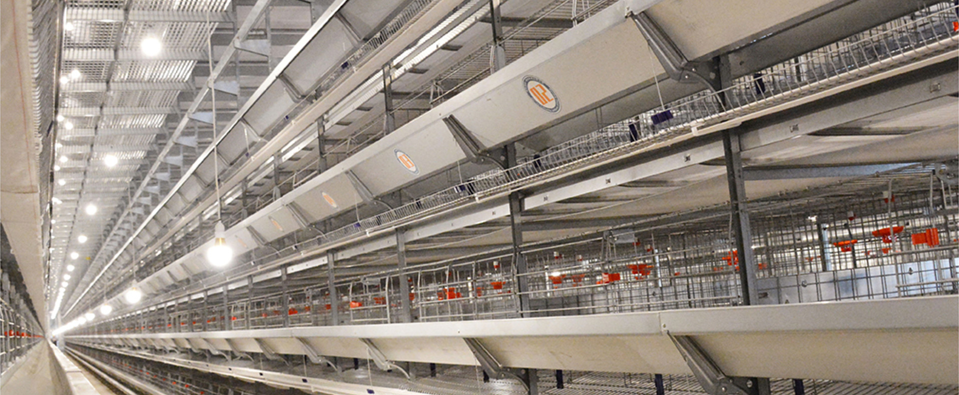 优德88·(中国区)有限公司官网